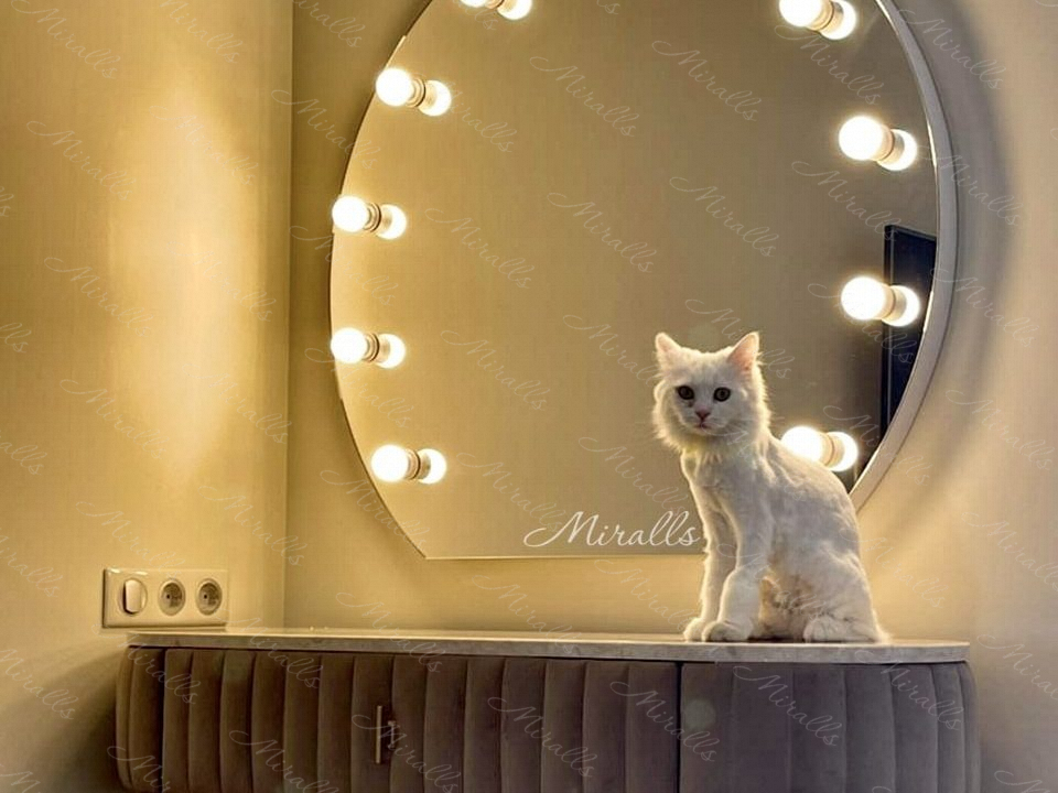 котик и гримерное зеркало Diva